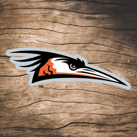 Delmarva Shorebirds