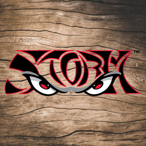 Lake Elsinore Storm